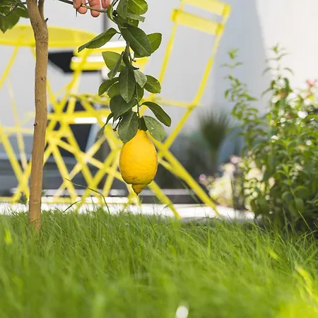 Lemon3 - Privater Garten Mit Grill, Mini-gym, Zentral In Apartment *
